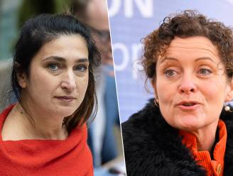 Vlaamse ministers Peeters en Demir naar New York voor VN-waterconferentie: “Vooral een marketingstunt om hun losseflodderbeleid op te poetsen”, zegt Mieke Schauvliege 