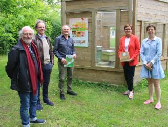Van bijensafari tot speciale fietsroute: Izegem viert Week van de Bij met extra activiteiten en bouw van een van de eerste bijenburchten van Vlaanderen