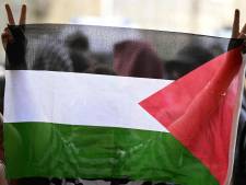 Plus de 20 experts de l’ONU appellent à reconnaître la Palestine