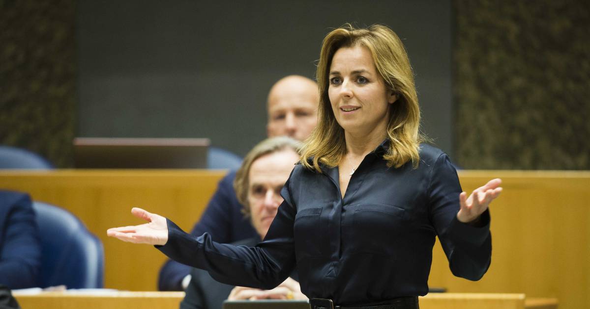 Marianne Thieme Terug In Kamer Na Ziekte Politiek Adnl 1042