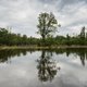 In 2021 verdween illegaal 150 hectare Vlaamse natuur