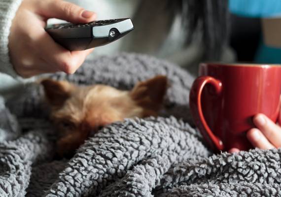Energie besparen: Zó red je het in huis ook bij een kamertemperatuur van 18 graden