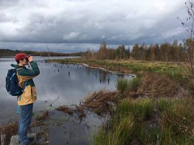 Nikki Dekker schrijft over gravende veenmollen en magische trekvogels in De Grote Peel