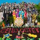 Sgt. Pepper’s Lonely Cello Band is het (klassieke?) livestreamconcert van het jaar ★★★★★
