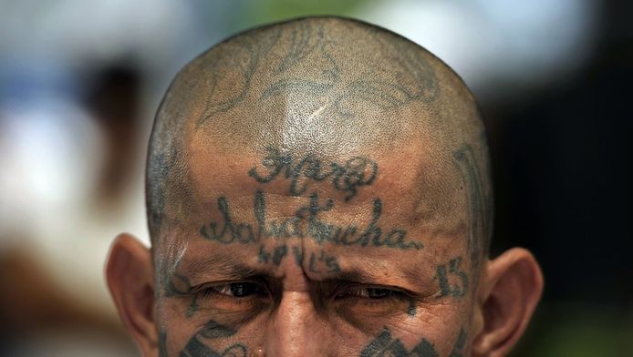 ms 13 is gevaarlijkste bende ter wereld buitenland ad nl
