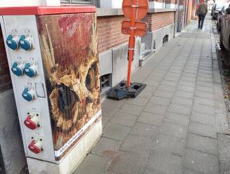 Elektriciteitskasten krijgen artistiek jasje met Beverse kunstwerken