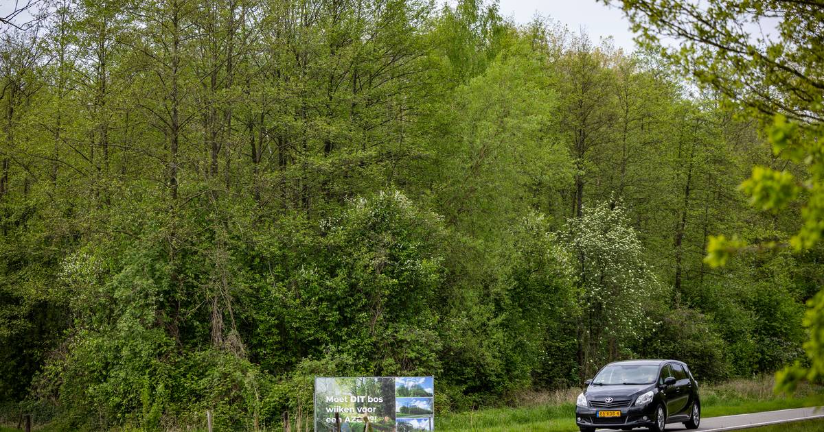 Spanning loopt op: Slaagt stichting er in azc Denekamp tegen te houden?