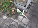 Witte rozen en een kaars bij de plek van het ongeluk bij de IJssellaan in Arnhem.
