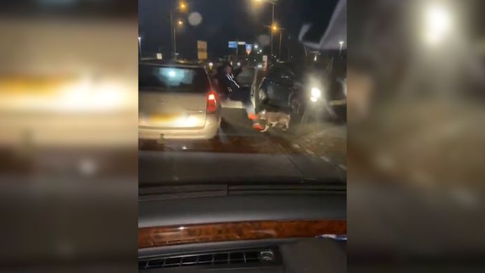 Is dit de hond die een 13-jarig meisje in Tiel beet?