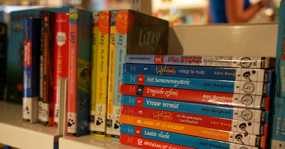 Langere openingstijden en meer ruimte voor activiteiten: subsidie helpt Bibliotheek Maartensdijk