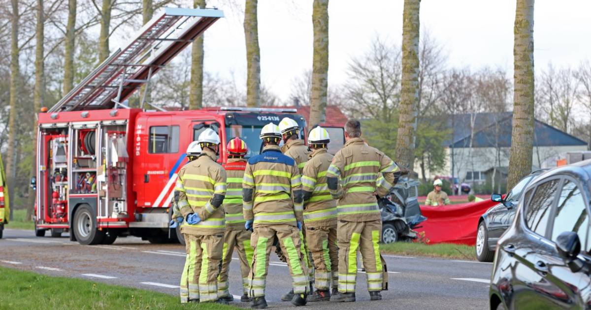 Auto breekt doormidden na botsing met boom, twee inzittenden zwaargewond.