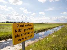 Benzeen gevonden in Westdijk Bunschoten
