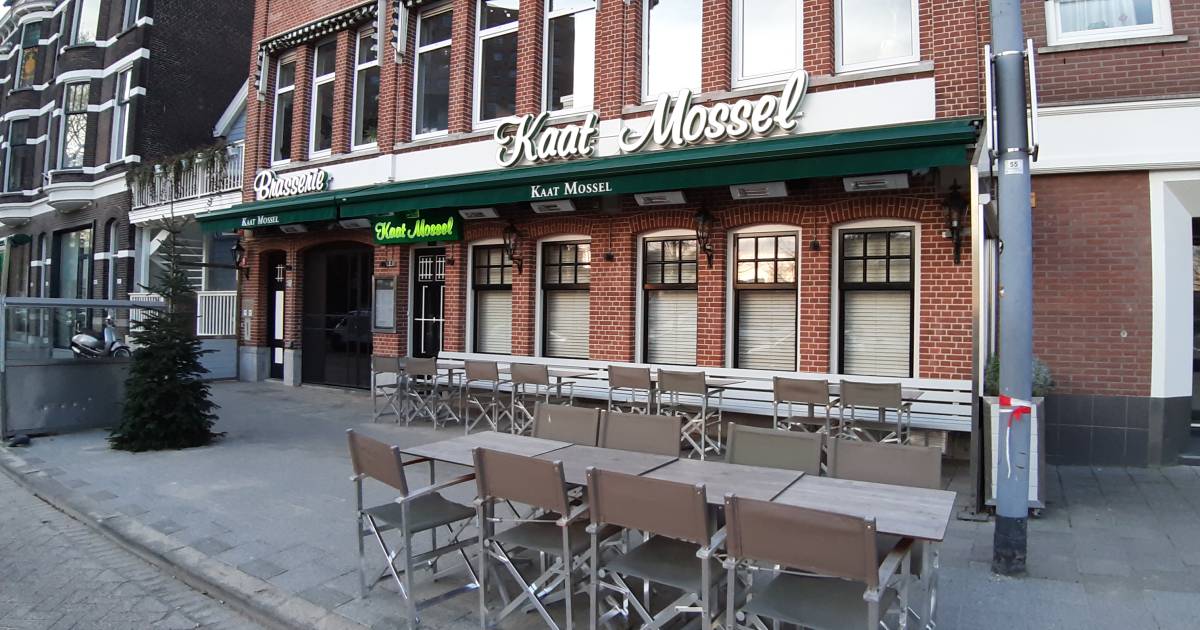 brasserie kaat mossel ontslaat de helft