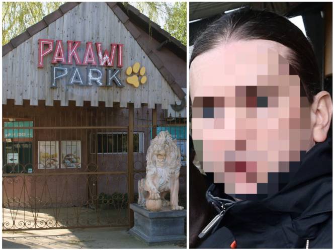 Directeur Pakawi Park riskeert 4 jaar cel voor aanranding 11 vrouwen: “Eerst won hij je vertrouwen, dan zat hij aan je lijf”
