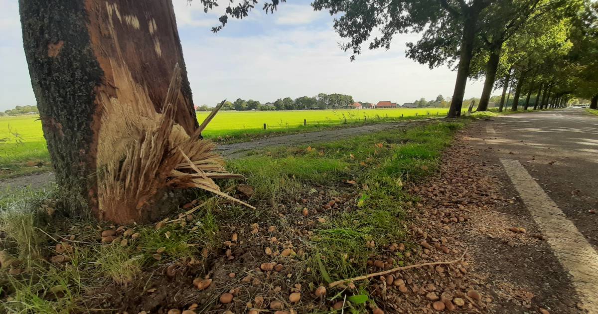 Plek van ‘eikeltjesongeval’ in Herpt was overdag nog geveegd.
