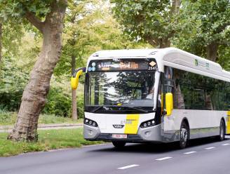 Na talloze klachten over De Lijn: Meerhout schakelt zelf gratis shuttlebus in tussen Gestel en centrum