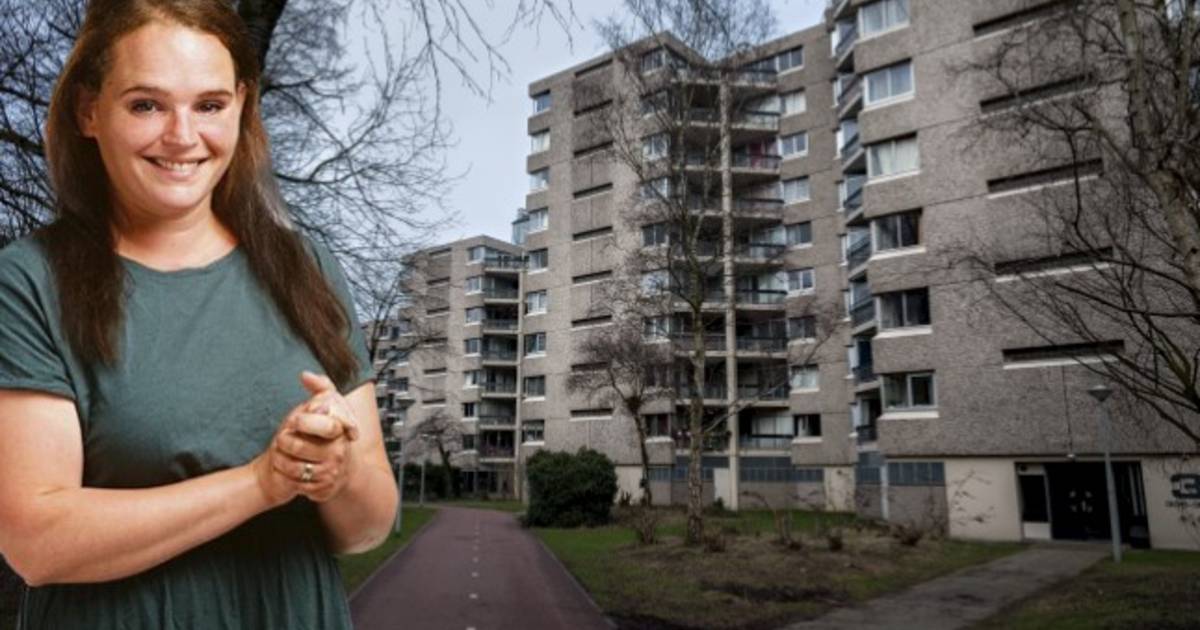 Als Oss Een Bijlmer Krijgt Liggen Kelderbox Sex Feesten Op De Loer Denkt De Pvda Brabant Ed Nl