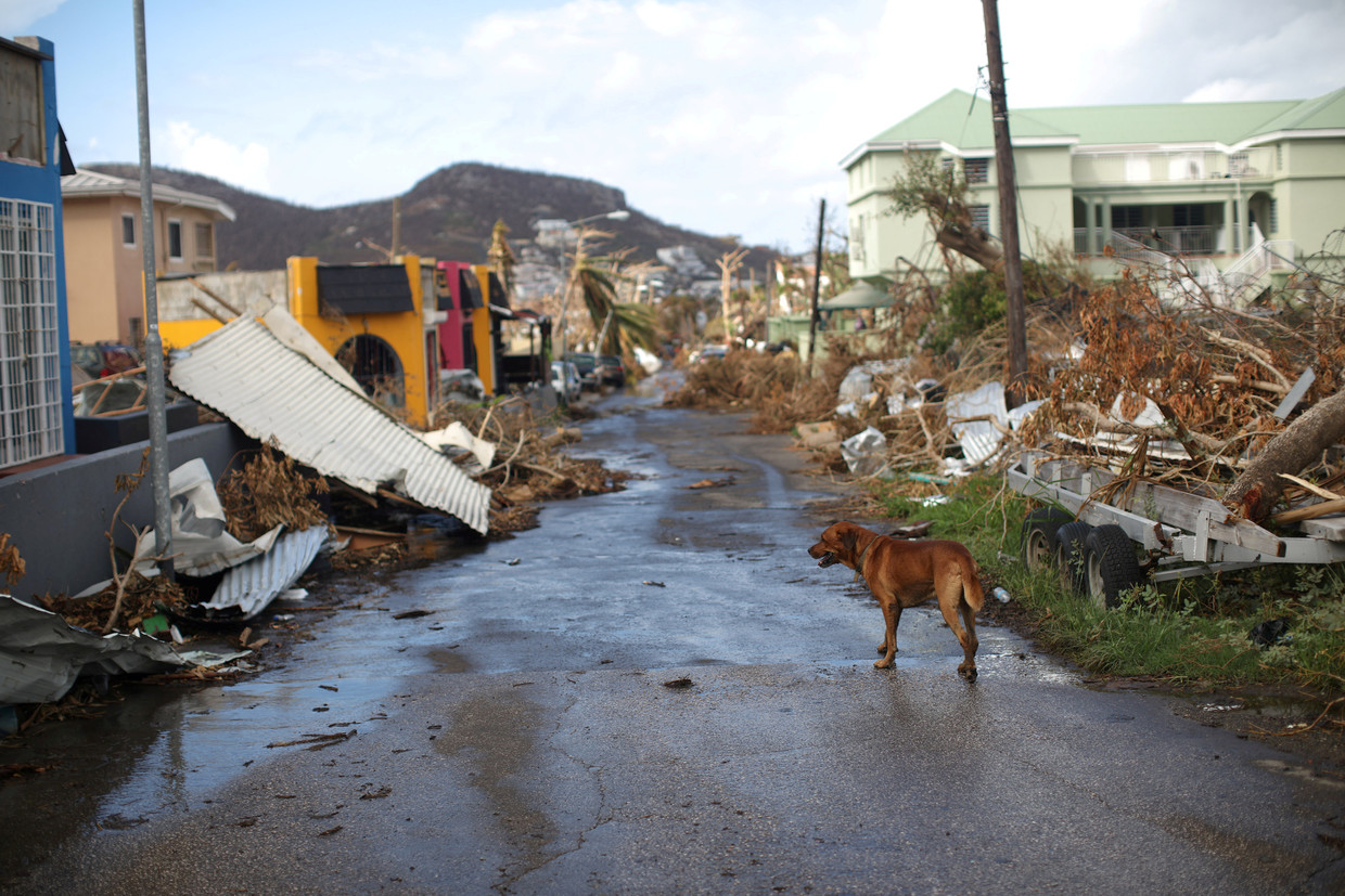 Verwoestingen op Sint-Maarten na orkaan Irma. Beeld REUTERS