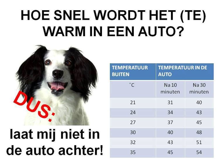 null Beeld 