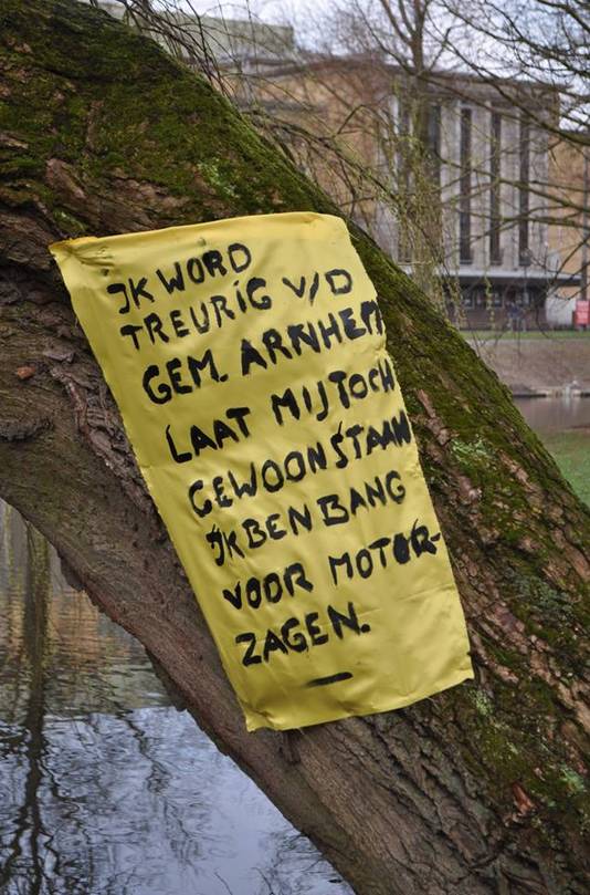 Behoud Bomen Arnhem hing dinsdagmorgen spandoeken op bomen in het Lauwersgracht Park, die op de lijst staan om gekapt te worden.  Foto's: Mark Bosch