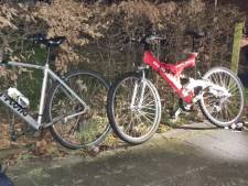 Fietsendieven (41 en 25) op heterdaad betrapt in Koudekerke