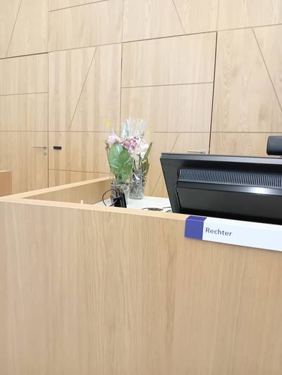 Veroorzaker van zwaar ongeval in Wijk en Aalburg vindt straf ‘netjes’ en geeft rechter bloemetje