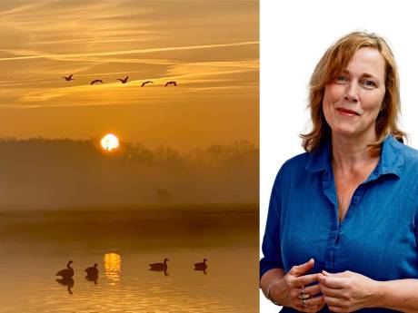 De magie van het Markdal verjaagt alle stress