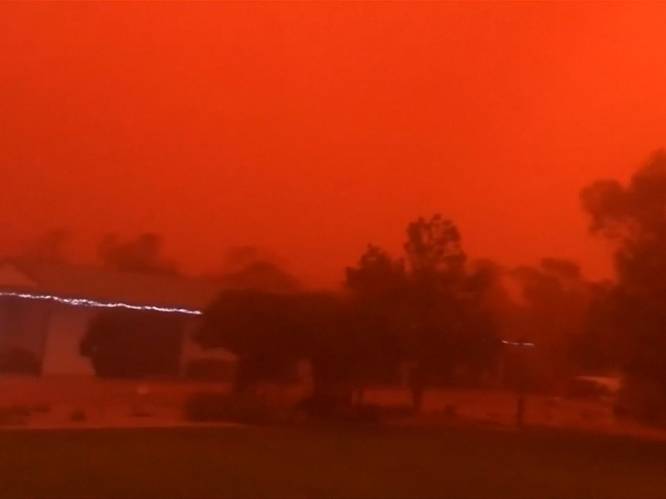 VIDEO. Zandstorm in Australië geeft omgeving een apocalyptisch uitzicht