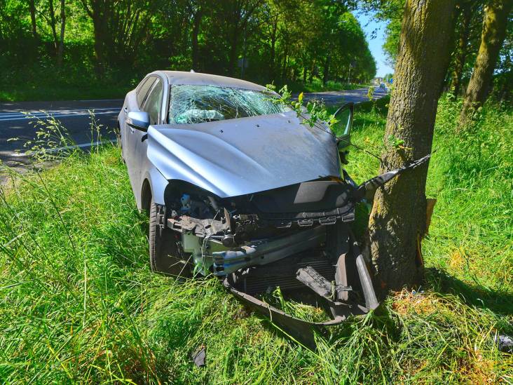 Bestuurder (57) uit Tilburg botst tegen boom in Reusel, met spoed naar ziekenhuis