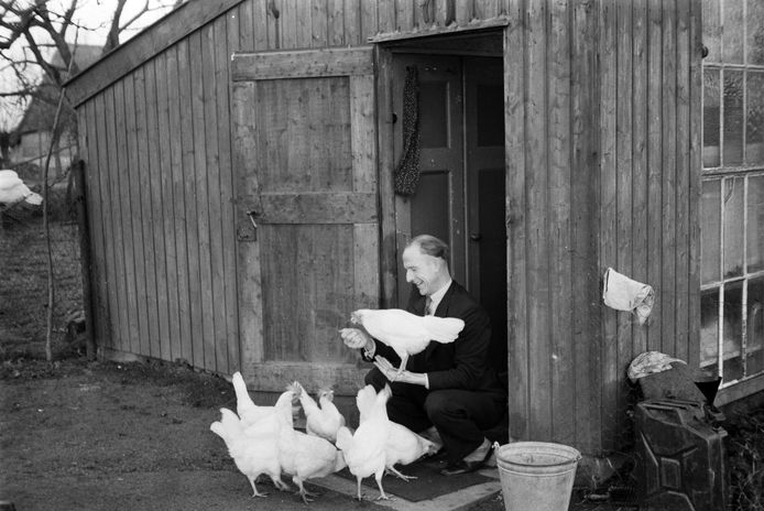 Persfotograaf Daan Scholte in Haren, liefhebber van kippen die thuis meestal door zijn vrouw Loeki verzorgd werden