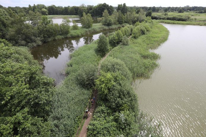Natuurgebied De Wijers