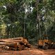 Studie linkt grote merken als Nike, Zara en H&M aan ontbossing Amazone