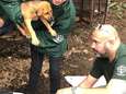 ‘Helse hondenvleesfokkerij’ opgerold in Zuid-Korea: 90 dieren gered