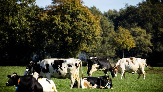 Groenboerenplan biedt mogelijke oplossing
