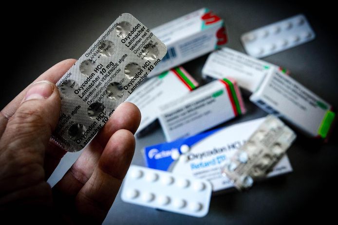 Oxycodon was jarenlang een veel gewild object voor medicijndieven. bijna een half miljoen mensen in Nederland is verslaafd aan de extreme pijnstiller.