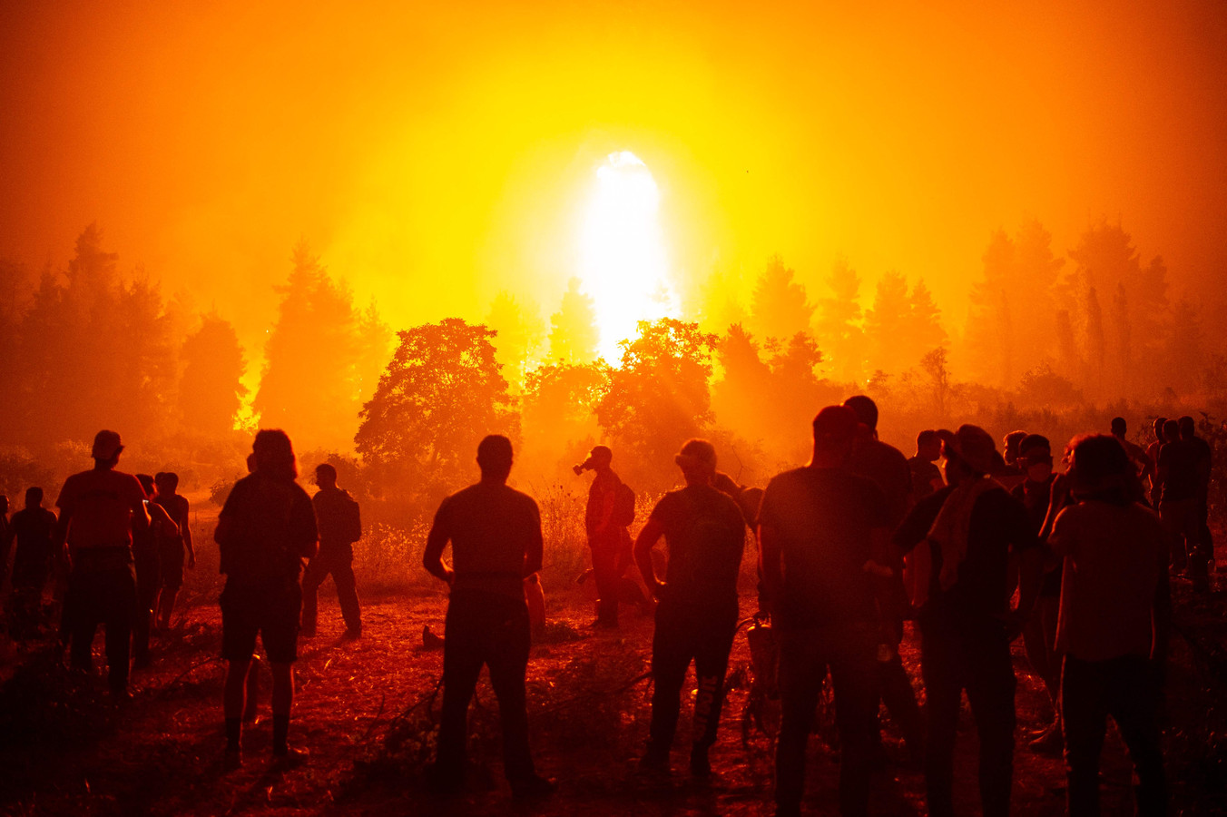 Illustration d'un incendie en Grèce