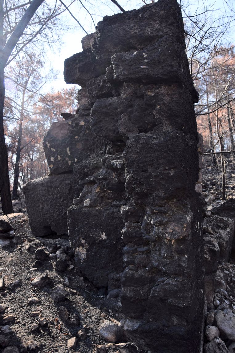 Sommige van de archeologische overblijfselen nabij het Turkse Lyrbe zijn na bosbranden zwartgeblakerd. Beeld Renie van der Puttee