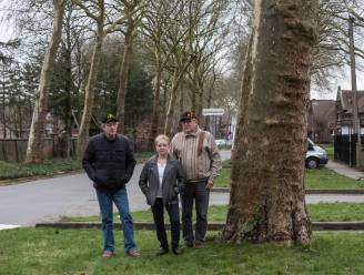 Vleermuizen als 'wapen' tegen het kappen van platanen