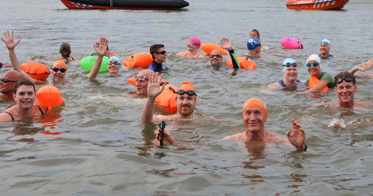 Swim to Fight Cancer verkiest stromingen Wantij boven zwemmen in de binnenstad: ‘Minder risico’ | Do