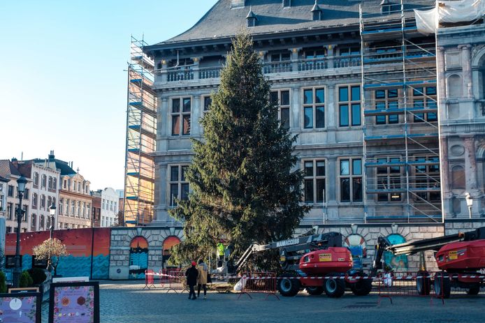 18 Meter Hoge Kerstboom Aangekomen Op Grote Markt Antwerpen Hlnbe