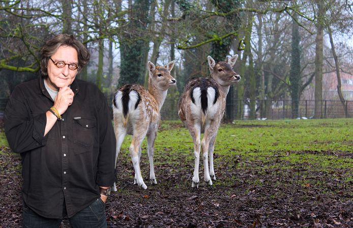 Kees Thies over herten in het Merwesteinpark.