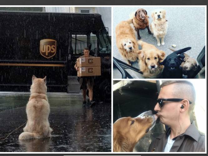 Blijkt dat er een heerlijke Facebookgroep bestaat van UPS-pakjesbezorgers en de honden die ze ontmoeten op hun route