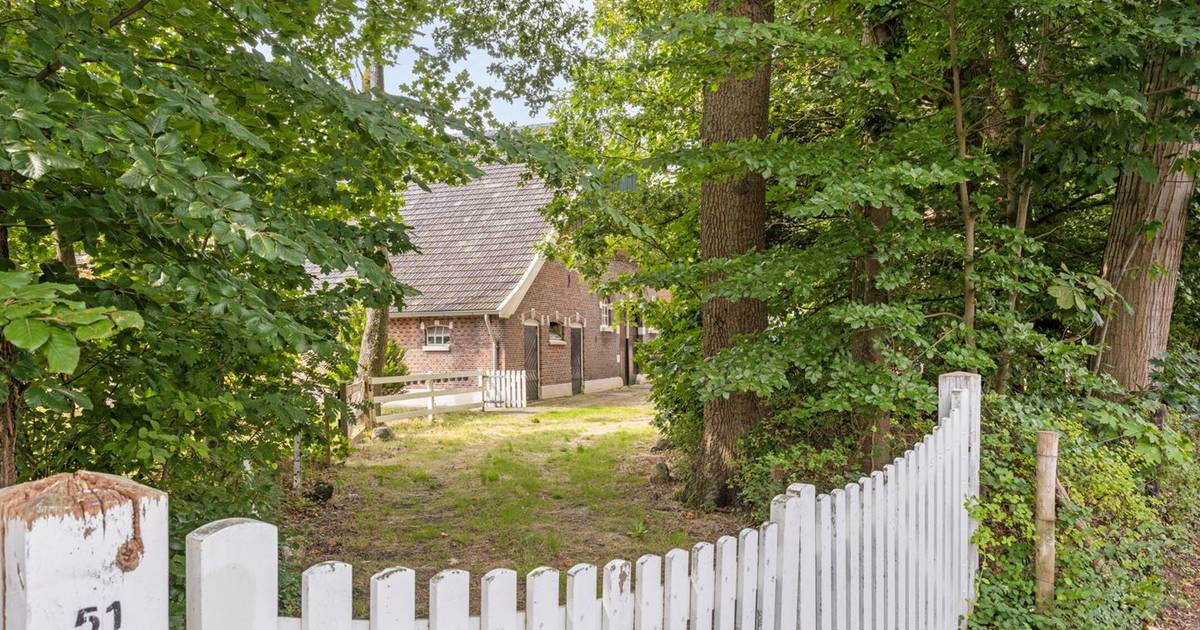 Toen 20.000 gulden (!), nu bijna een miljoen euro: bijzondere boerderij in Boekelo te koop