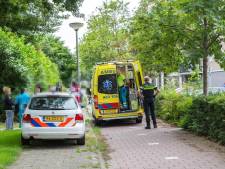 'Aan kloppartij bij Lindenburg ging opstootje vooraf bij station in Roosendaal'