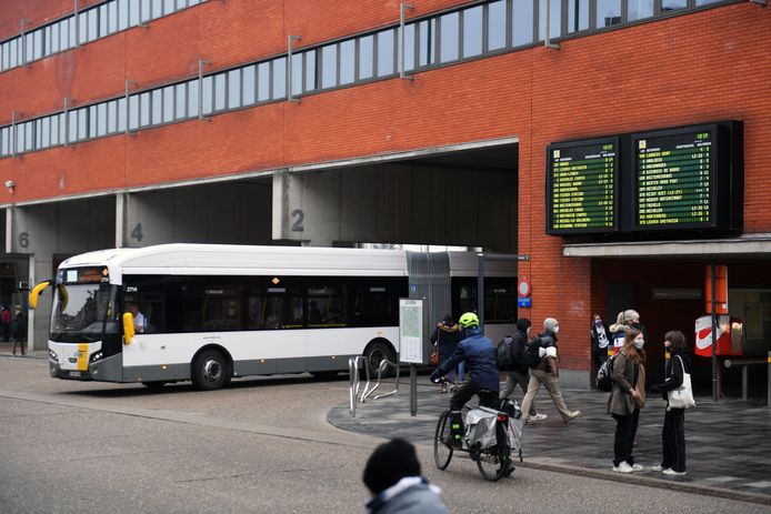 met de bus Leuven tijdens Week van de | Bierbeek | hln.be