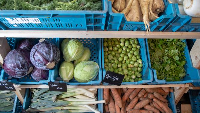 Biologisch product in supermarkt soms al goedkoper dan A-merk