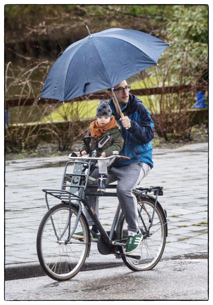 Regen of geen regen, de Nederlandse man -  blauwogig, blond, rijzig en zeer aantrekkelijk - stapt onvervaard op zijn fiets waarop hij eventueel ook hondjes, kinderen of de boodschappen vervoert.