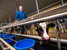 Boer Herman na nieuw offensief tegen megastallen in Apeldoorn: ‘Politici hebben geen flauw benul waarover ze praten’