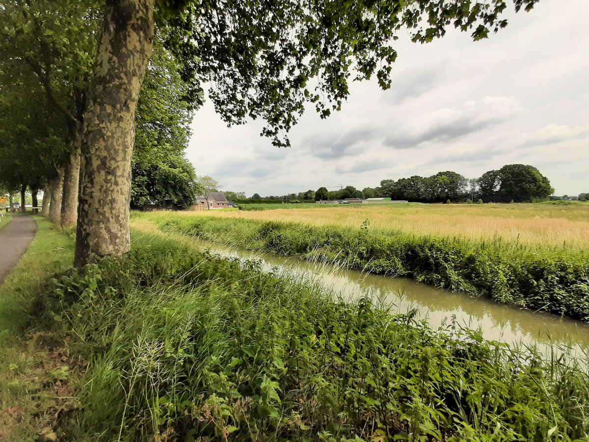 Opvang asielzoekers ‘Wie plaatst mensen uit oorlogsgebied nou in buurt van een schietbaan