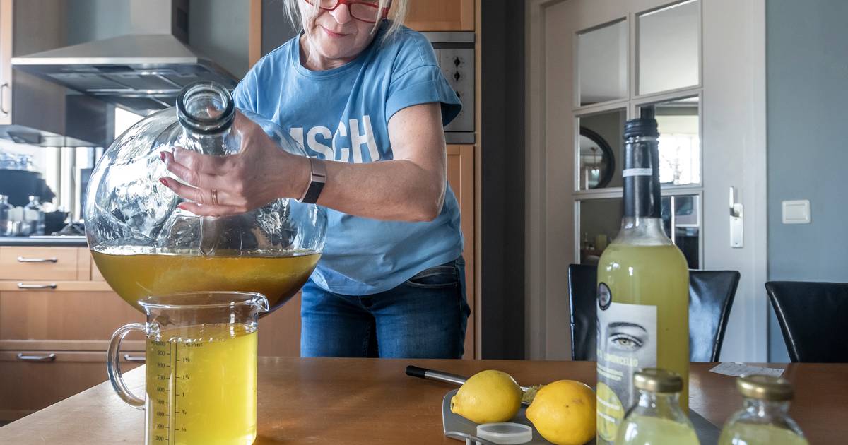 De limoncello van Josephine uit De Mortel staat tussen de grote namen: ‘ik heb veel goeie testers in